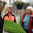 Radeln und Grillen  Bild _ 22 _.jpg