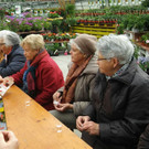 Radeln und Grillen  Bild _ 19 _.jpg