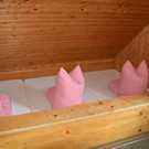 DSC_0017 - Kopie.JPG