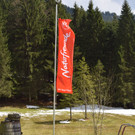 DSC_0031.JPG