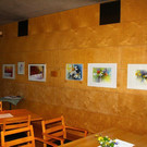 IMG_8055.jpg