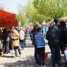 DSC00018.JPG