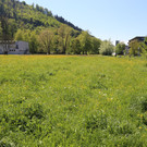 IMG_4183.JPG