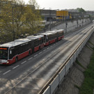 DSC_0010.JPG