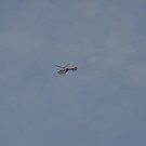 DSC_0014.JPG