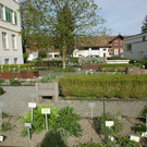 Frisches Kräutersalz 