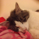 IMG-20160321-WA0004.jpg
