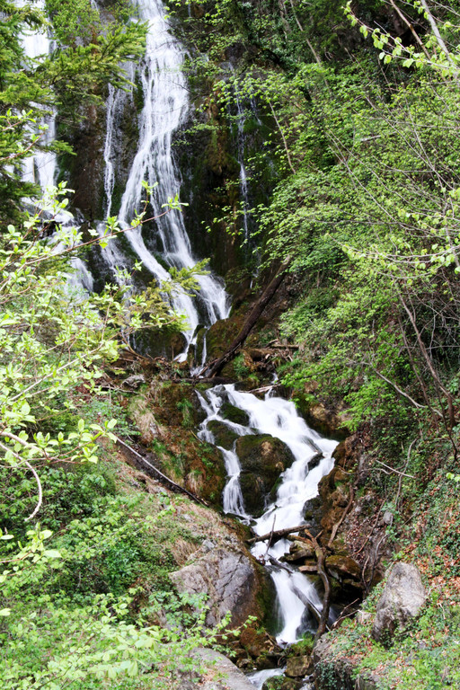 IMG_8039_2.jpg