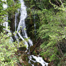 IMG_8039_2.jpg
