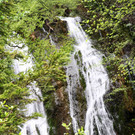 IMG_8041_2.jpg