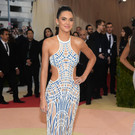 2016_Metropolitan_Museum_of_Art_Costume_Institute_Benefit_Gala_8.jpg