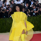 2016_Metropolitan_Museum_of_Art_Costume_Institute_Benefit_Gala_11.jpg