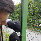 Tierrettung: Polizisten retten kleinen Vogel in Wien-Donaustadt aus Zaunsteher