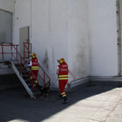 Die Rettungshundebrigade im Einsatz