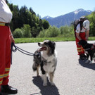 IMG_6369.JPG