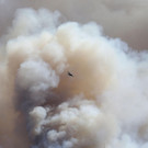 AFP_AA91T.jpg