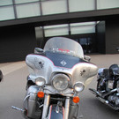 IMG_8142.JPG