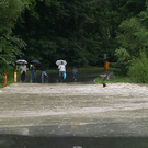 AS180134.JPG