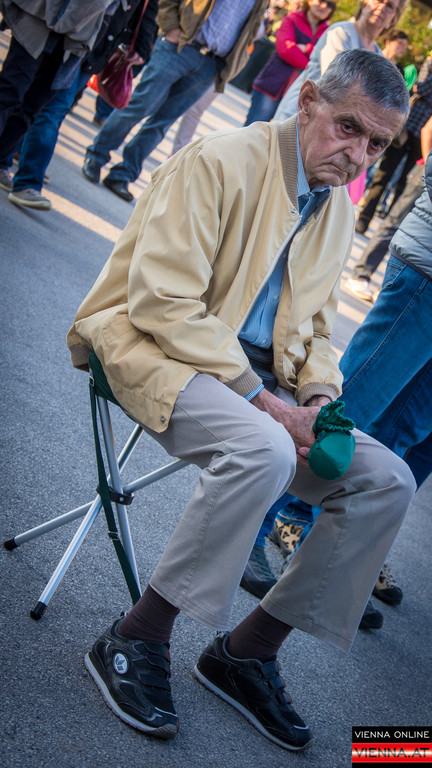 Fest der Freude - Heldenplatz-6.jpg