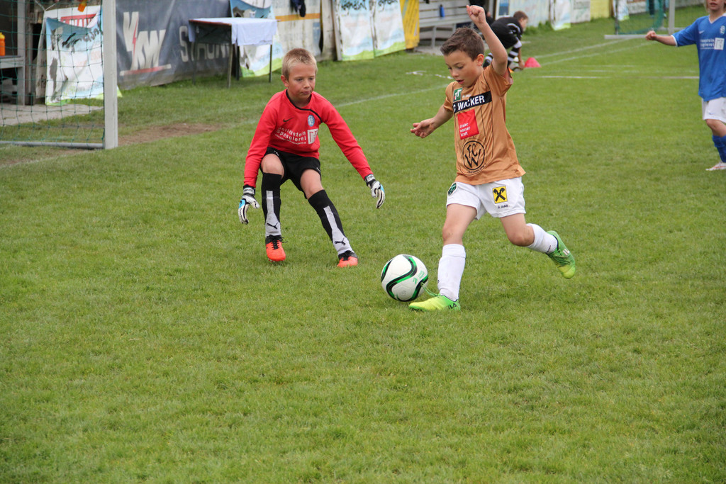 F__gn__scht_U9 023 - Kopie.JPG