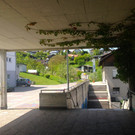 IMG_5750.JPG