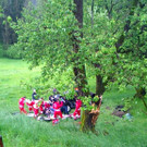 WP_20160514_014.jpg