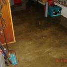 DSC03454.JPG