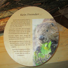 IMG_4706.JPG