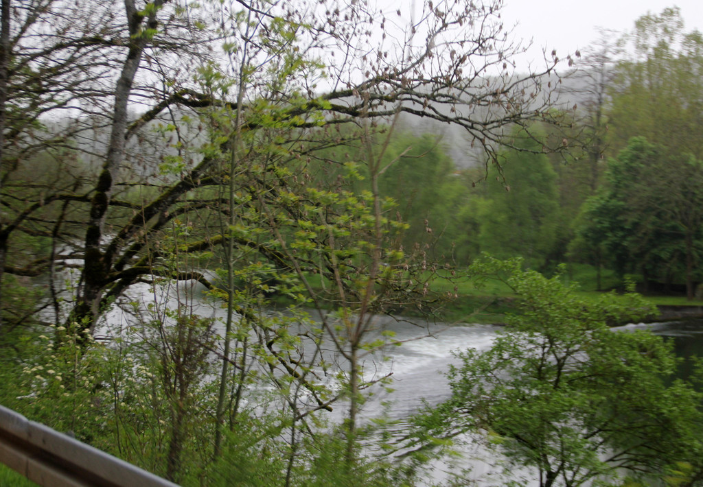 IMG_6507.JPG