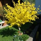 DSC00655.JPG