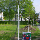 Errichtung Spielfeld 3