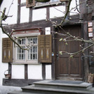 P1010020.JPG