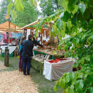 DSC02341.JPG