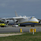 AFP_AO8Z5.jpg