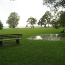 IMG_1565 _Large__JPG-1276939770