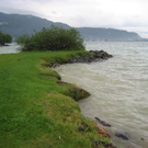 IMG_1569 _Large__JPG-1276939776
