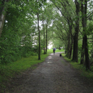 IMG_1554 _Large__JPG-1276939754