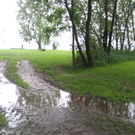 IMG_1557 _Large__JPG-1276939758
