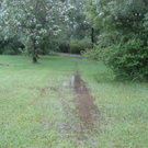 IMG_1559 _Large__JPG-1276939761