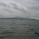 IMG_1562 _Large__JPG-1276939765
