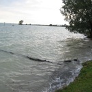 IMG_1570 _Large__JPG-1276939779