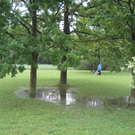 IMG_1578 _Large__JPG-1276939788