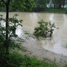 IMG_1601 _Large__JPG-1276939820
