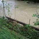 IMG_1631 _Large__JPG-1276939743