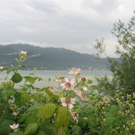 IMG_1615 _Large__JPG-1276939833