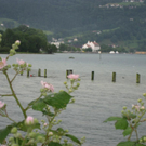 IMG_1617 _Large__JPG-1276939835
