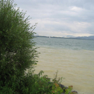 IMG_1619 _Large__JPG-1276939837