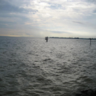 IMG_1622 _Large__JPG-1276939842