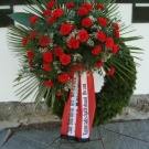 DSC00658.JPG