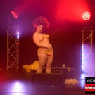 boylesque-vienna-festival-2016-115.jpg